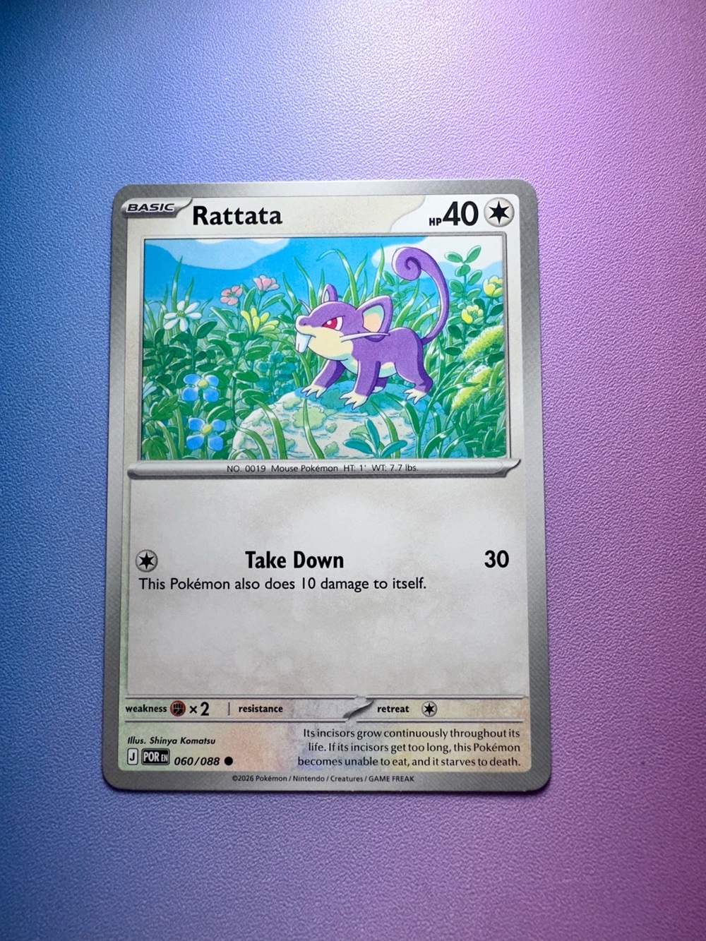 rattata - 060/088 (common) — pokemon: perfect order